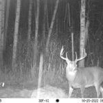 sk-whitetail-trailcams-oco-2022-004