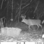 sk-whitetail-trailcams-oco-2022-006