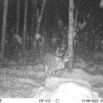 sk-whitetail-trailcams-oco-2022-012