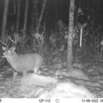 sk-whitetail-trailcams-oco-2022-013
