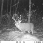 sk-whitetail-trailcams-oco-2022-014
