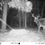 sk-whitetail-trailcams-oco-2022-016