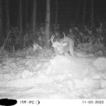 sk-whitetail-trailcams-oco-2022-017