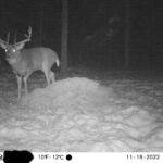 sk-whitetail-trailcams-oco-2022-018