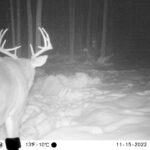 sk-whitetail-trailcams-oco-2022-020