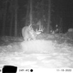 sk-whitetail-trailcams-oco-2022-023