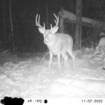 sk-whitetail-trailcams-oco-2022-024