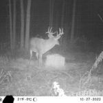 sk-whitetail-trailcams-oco-2022-025