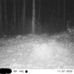 sk-whitetail-trailcams-oco-2022-026