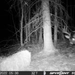 sk-whitetail-trailcams-oco-2022-029