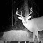 sk-whitetail-trailcams-oco-2022-030