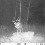 sk-whitetail-trailcams-oco-2022-035
