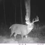 sk-whitetail-trailcams-oco-2022-038