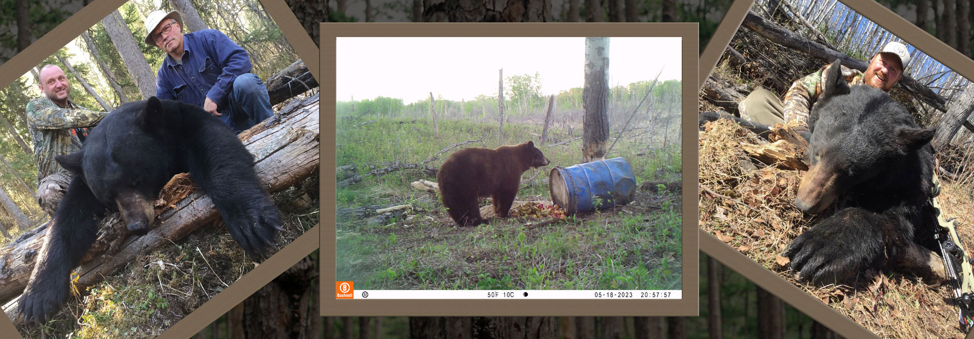sk-black-bear-hunting-2023-05-25