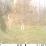 M2E45L125-124R399B372