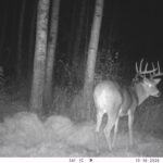 V01 PS{0 3} T{662} E{085 1036} G{048 0x002000fe} IR{F,0}