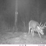 V01 PS{0 394} T{583} E{080 1315} G{056 0x003000b3} IR{F,0}