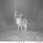 V01 PS{0 660} T{576} E{085 1036} G{056 0x003000b3} IR{F,0}