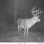 V01 PS{0 660} T{579} E{083 1130} G{040 0x002000b3} IR{F,0}