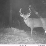 V01 PS{0 732} T{595} E{086 0986} G{040 0x002000b3} IR{F,0}