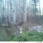 V01 PS{1023 1023} T{553} E{095 0672} G{040 0x002000b3} IR{F,0}