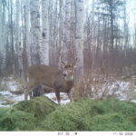 V01 PS{1023 1023} T{546} E{107 0394} G{024 0x001000b4} IR{F,0}