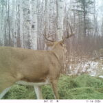 V01 PS{1023 1023} T{542} E{120 0227} G{008 0x000000b4} IR{F,0}