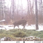 M2E52L151-151R399B383