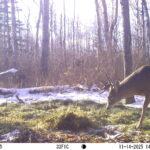 M2E61L181-180R399B400