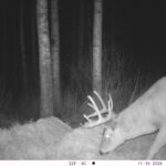 V01 PS{0 2} T{661} E{086 0986} G{048 0x002000fe} IR{F,0}