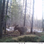 V01 PS{1023 1023} T{439} E{111 0336} G{024 0x001000b4} IR{F,0}