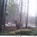 V01 PS{1023 1023} T{439} E{111 0336} G{024 0x001000b4} IR{F,0}