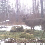 M2E41L109-109R390B373