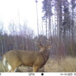 M2E59L173-173R399B388