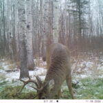 V01 PS{1023 1023} T{544} E{111 0336} G{024 0x001000b4} IR{F,0}