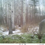 V01 PS{1023 1023} T{599} E{130 0147} G{008 0x000000b4} IR{F,0}