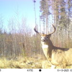 M2E69L202-201R399B402