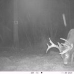 V01 PS{0 634} T{578} E{084 1082} G{048 0x002000fe} IR{F,0}