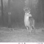 V01 PS{4 645} T{580} E{082 1183} G{040 0x002000b3} IR{F,0}