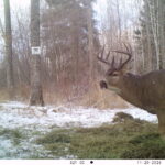 V01 PS{1023 1023} T{514} E{129 0154} G{008 0x000000b4} IR{F,0}