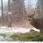 V01 PS{1023 1023} T{513} E{138 0104} G{008 0x000000b4} IR{F,0}