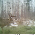 V01 PS{1023 1023} T{599} E{132 0135} G{008 0x000000b4} IR{F,0}