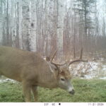 V01 PS{1023 1023} T{601} E{124 0191} G{008 0x000000b4} IR{F,0}